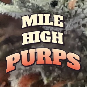 Mile High Purps Cannabis Strain