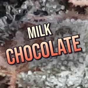 Milk Chocolate Cannabis Strain