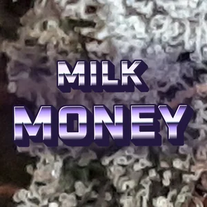 Milk Money Cannabis Strain