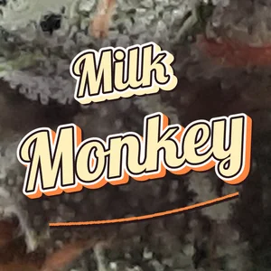 Milk Monkey Cannabis Strain