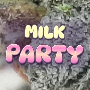 Milk Party Cannabis Strain