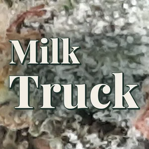 Milk Truck Cannabis Strain