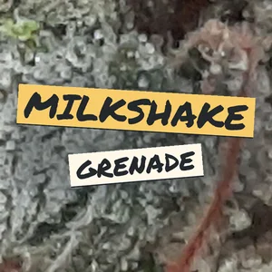 Milkshake Grenade Cannabis Strain