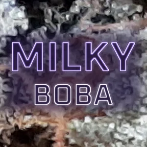 Milky Boba Cannabis Strain