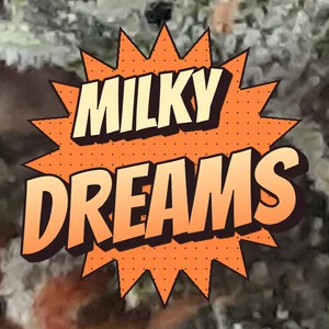 Milky Dreams Cannabis Strain
