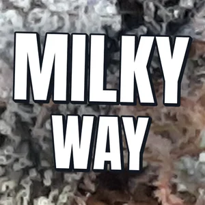Milky Way Cannabis Strain