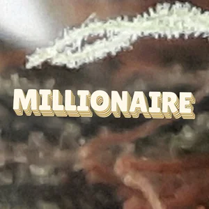 Millionaire Cannabis Strain