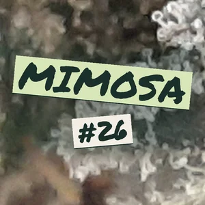 Mimosa #26 Cannabis Strain