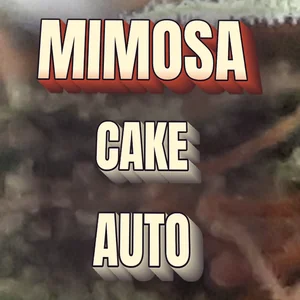 Mimosa Cake Auto Cannabis Strain