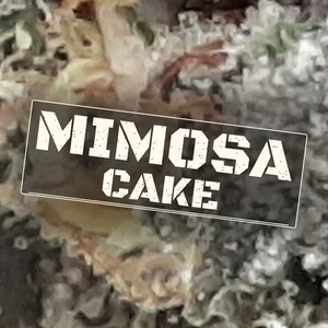 Mimosa Cake Cannabis Strain