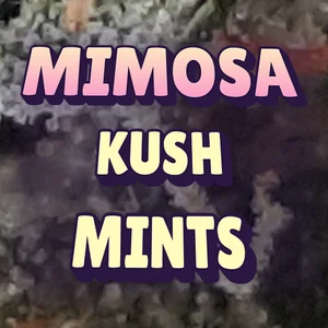 Mimosa Kush Mints Cannabis Strain