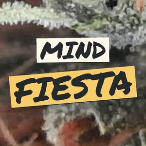 Mind Fiesta Cannabis Strain