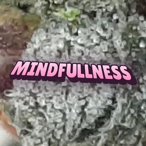 Mindfullness Cannabis Strain