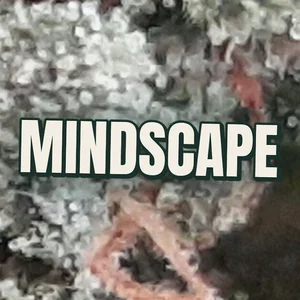 Mindscape Cannabis Strain
