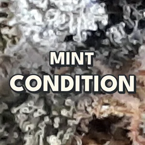 Mint Condition Cannabis Strain