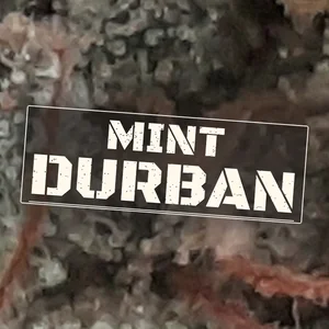 Mint Durban Cannabis Strain