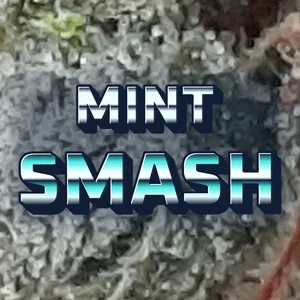 Mint Smash Cannabis Strain