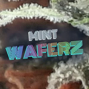Mint Waferz Cannabis Strain