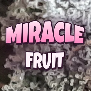 Miracle Fruit Cannabis Strain