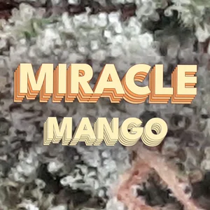 Miracle Mango Cannabis Strain