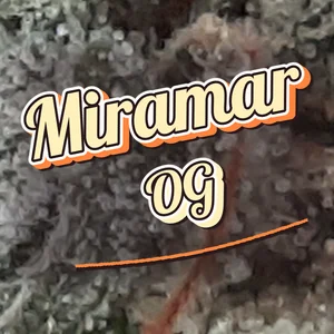 Miramar OG Cannabis Strain