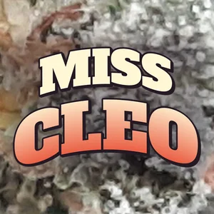 Miss Cleo Cannabis Strain