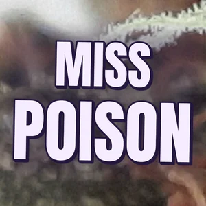 Miss Poison Cannabis Strain