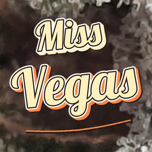 Miss Vegas Cannabis Strain
