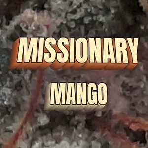Missionary Mango Cannabis Strain