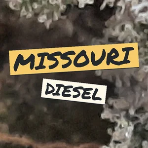 Missouri Diesel Cannabis Strain