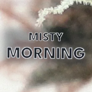 Misty Morning Cannabis Strain