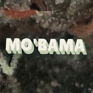 Mo'Bama Cannabis Strain