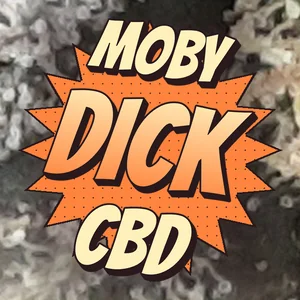 Moby Dick CBD Cannabis Strain