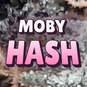 Moby Hash Cannabis Strain