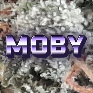 Moby Cannabis Strain