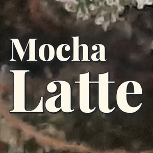 Mocha Latte Cannabis Strain