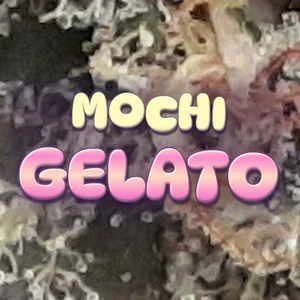Mochi Gelato Cannabis Strain