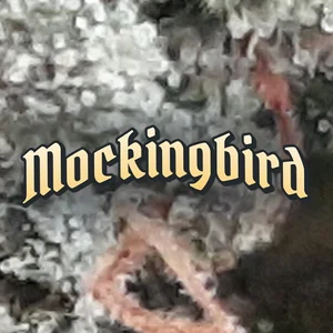Mockingbird Cannabis Strain