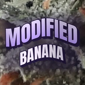 Modified Banana Cannabis Strain