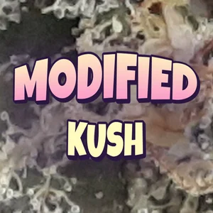 Modified Kush Cannabis Strain