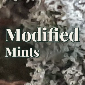 Modified Mints Cannabis Strain