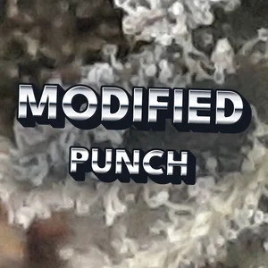 Modified Punch Cannabis Strain