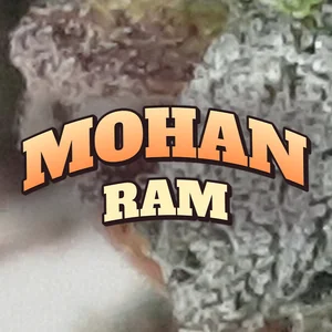 Mohan Ram Cannabis Strain