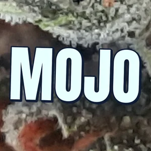 Mojo Cannabis Strain