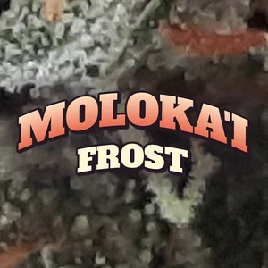 Moloka'i Frost Cannabis Strain