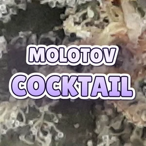 Molotov Cocktail Cannabis Strain