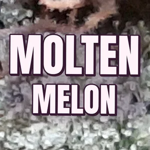 Molten Melon Cannabis Strain