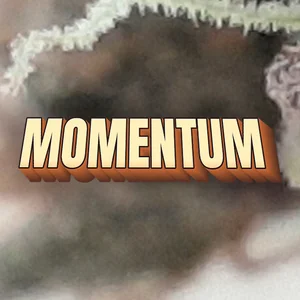 Momentum Cannabis Strain