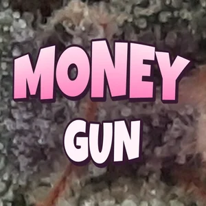 Money Gun Cannabis Strain