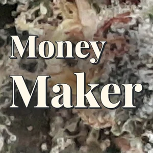 Money Maker Cannabis Strain